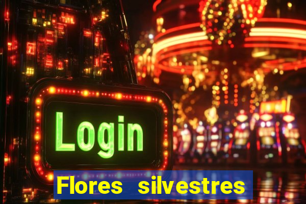 Flores silvestres brasileiras brasileiras flores silvestres nomes e imagens
